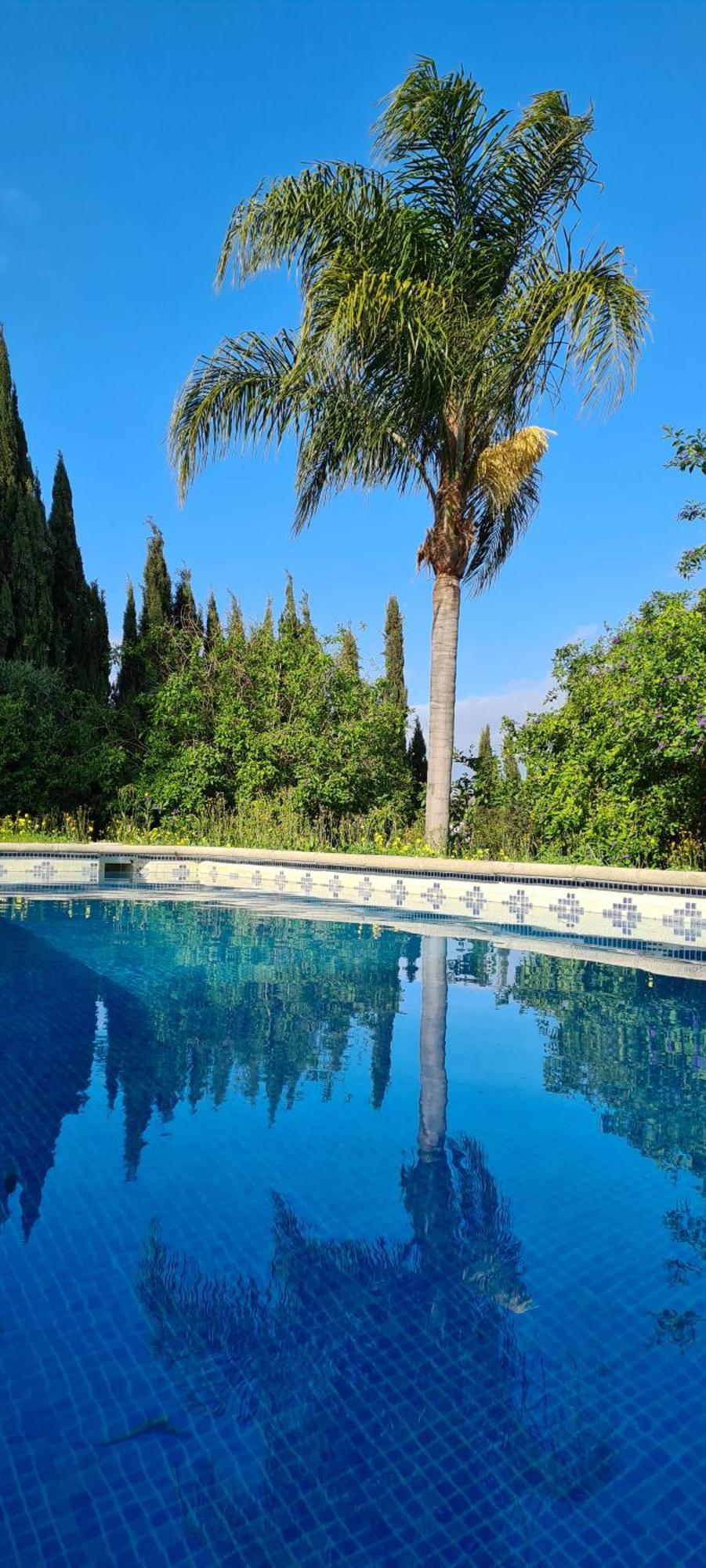 Villa La Alqueria à San Martín Extérieur photo