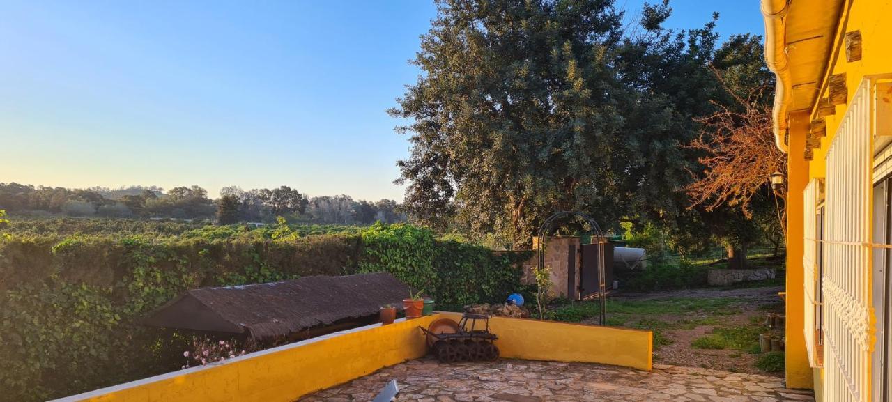 Villa La Alqueria à San Martín Extérieur photo