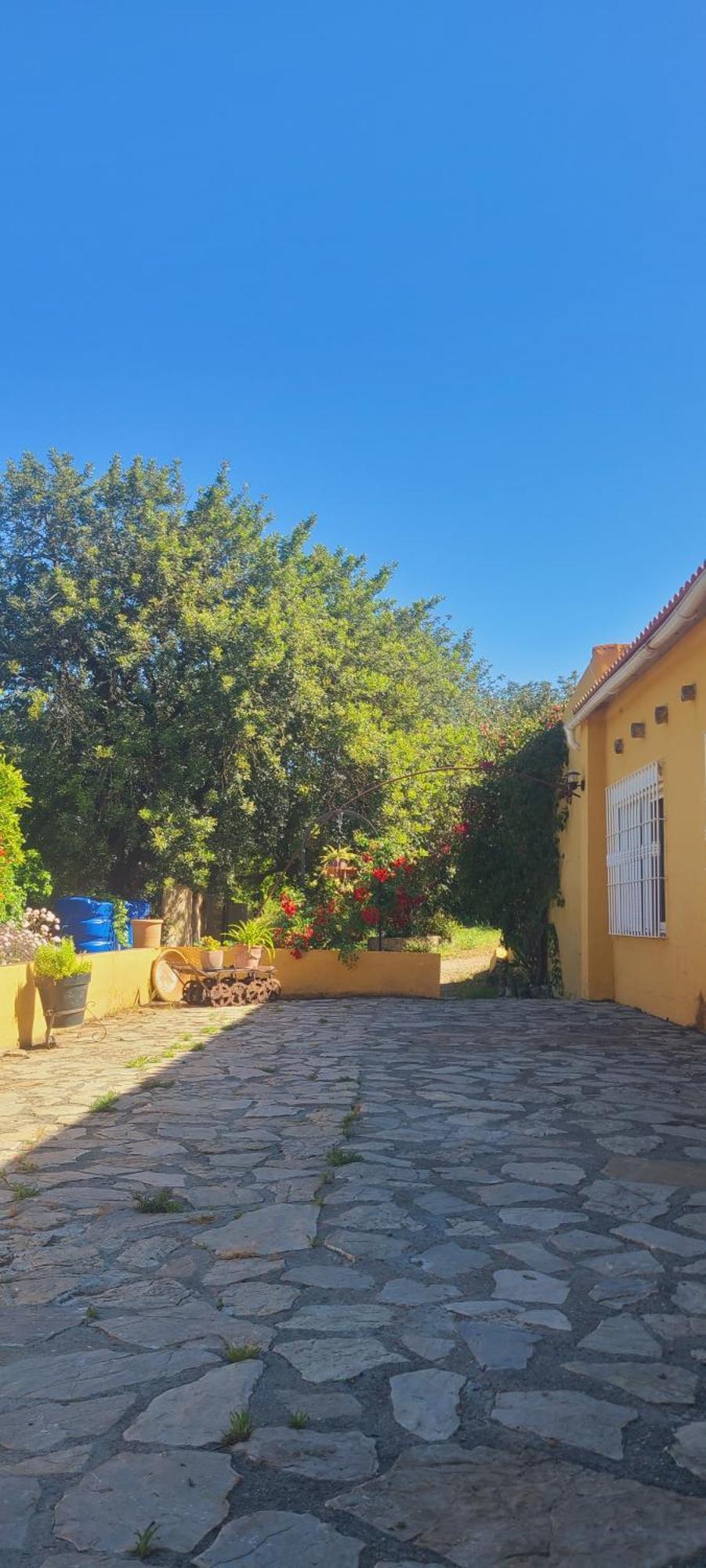 Villa La Alqueria à San Martín Extérieur photo